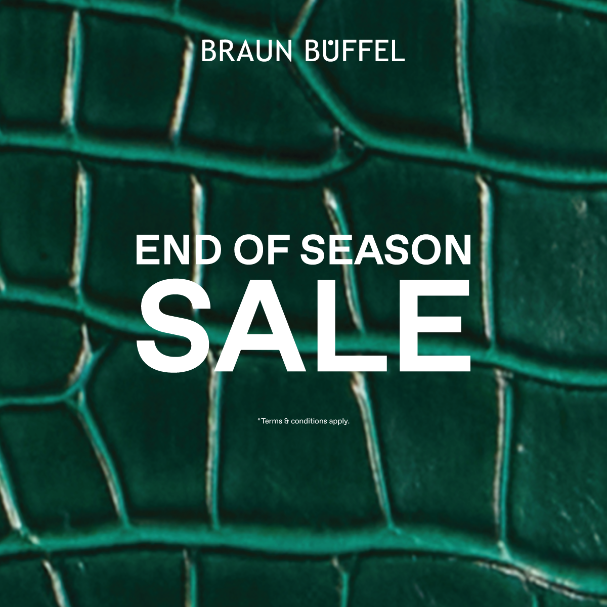 Braun Buffel
